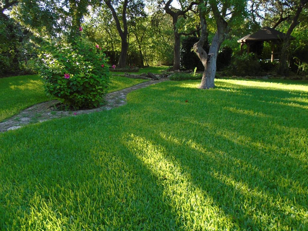 Acorn Bed And Breakfast Boerne Buitenkant foto
